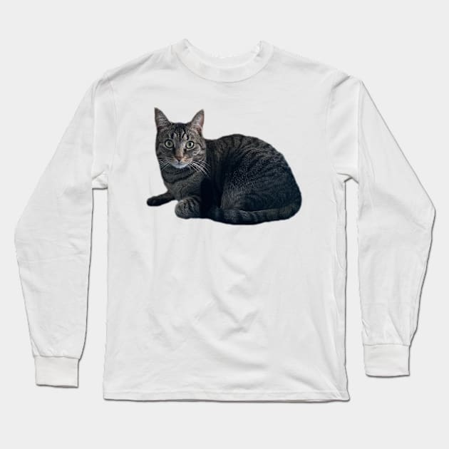 Tabby Cutie Long Sleeve T-Shirt by Amanda1775
